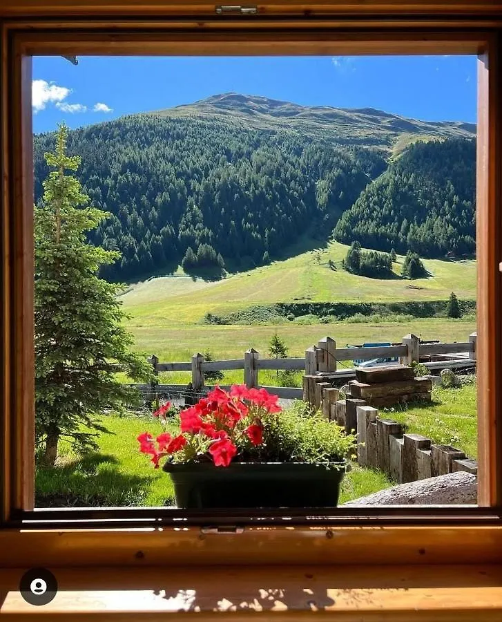 Casa Soleil Daire Livigno